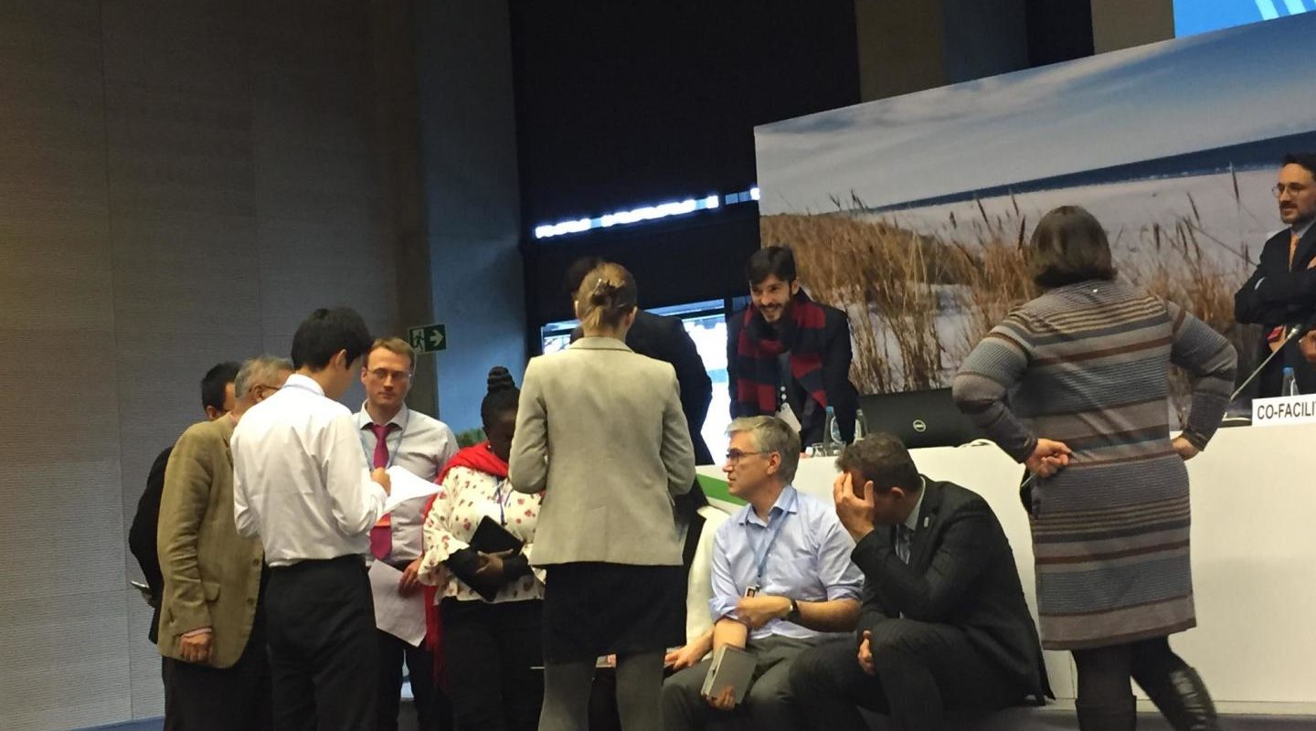 COP 24 – Insights of a Georgian Negotiator