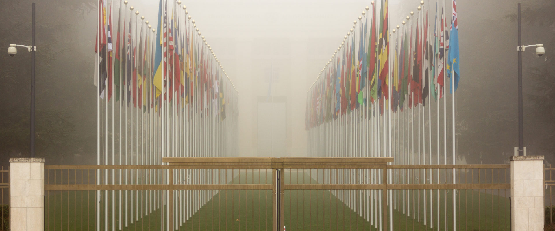 The Future of International Organisations