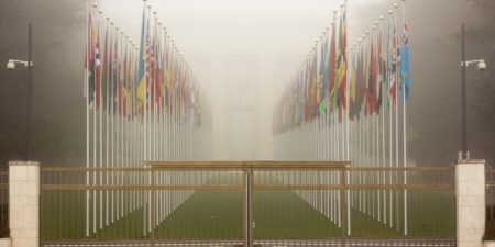 The Future of International Organisations
