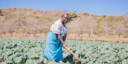 Rural Finance in Zambia