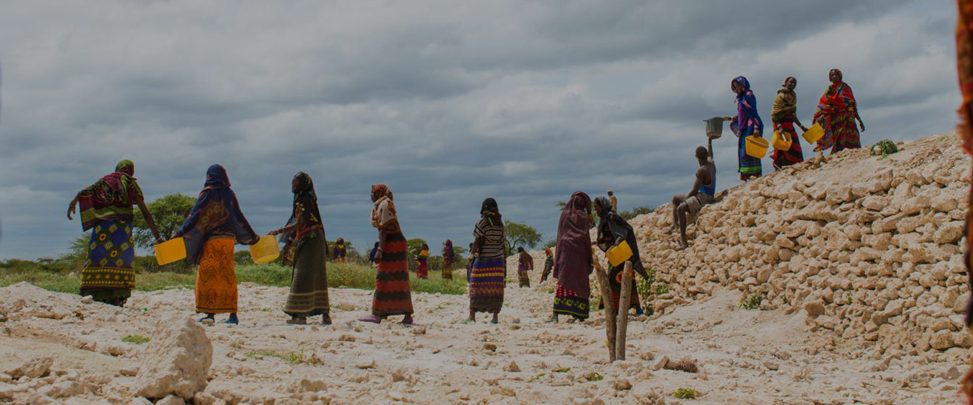 Introducing Our New Executive Certificate on Gender and Risk Management in Climate Change