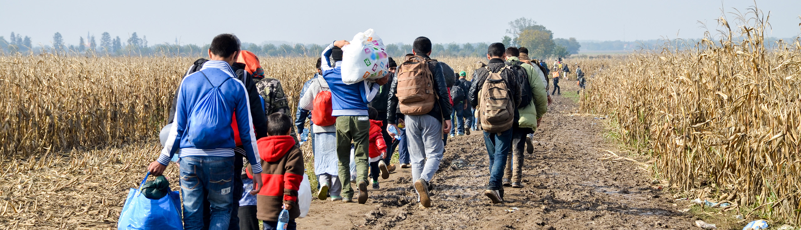 Decoding Migration blog banner